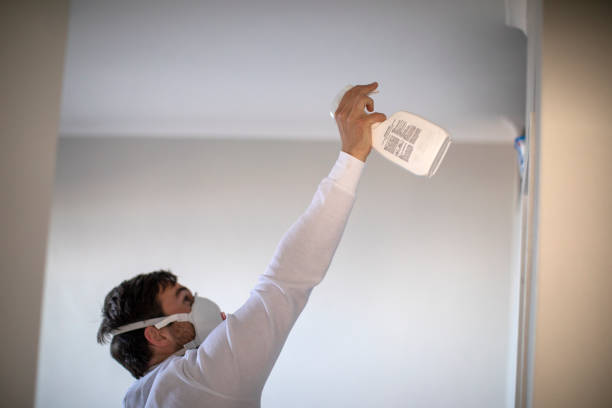 Best Industrial Mold Remediation in Fairfield, TX