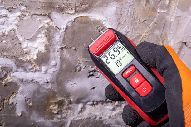Best Attic Mold Remediation in Fairfield, TX