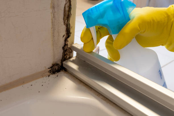 Trusted Fairfield, TX Mold Remediation Experts