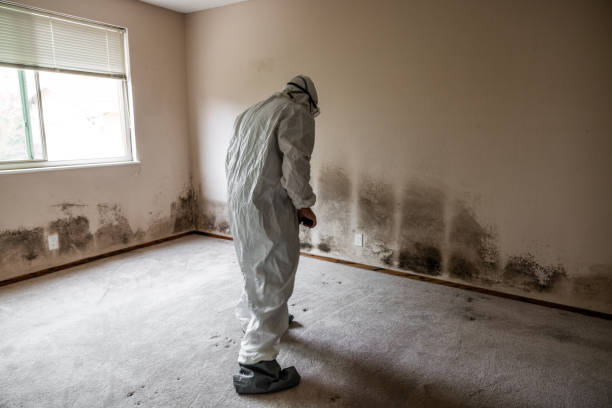 Best Bathroom Mold Remediation in Fairfield, TX