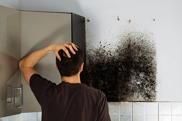 Best Crawl Space Mold Remediation in Fairfield, TX